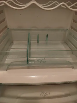 Bandejas y complementos nevera Electrolux