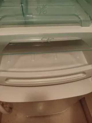 Bandejas y complementos nevera Electrolux