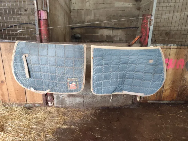 2 sudaderos de equitación azules