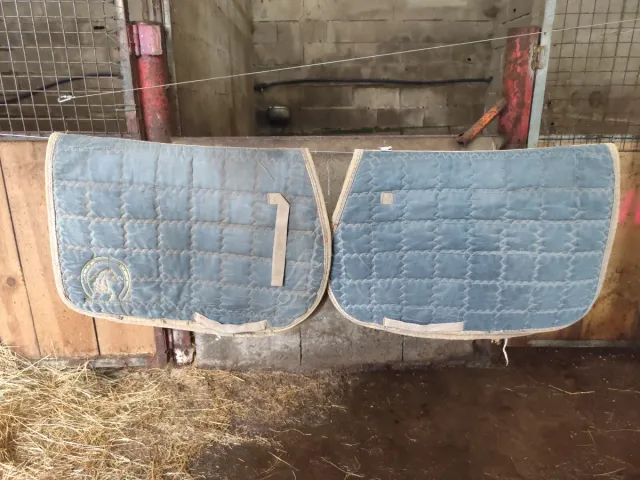 2 sudaderos de equitación azules