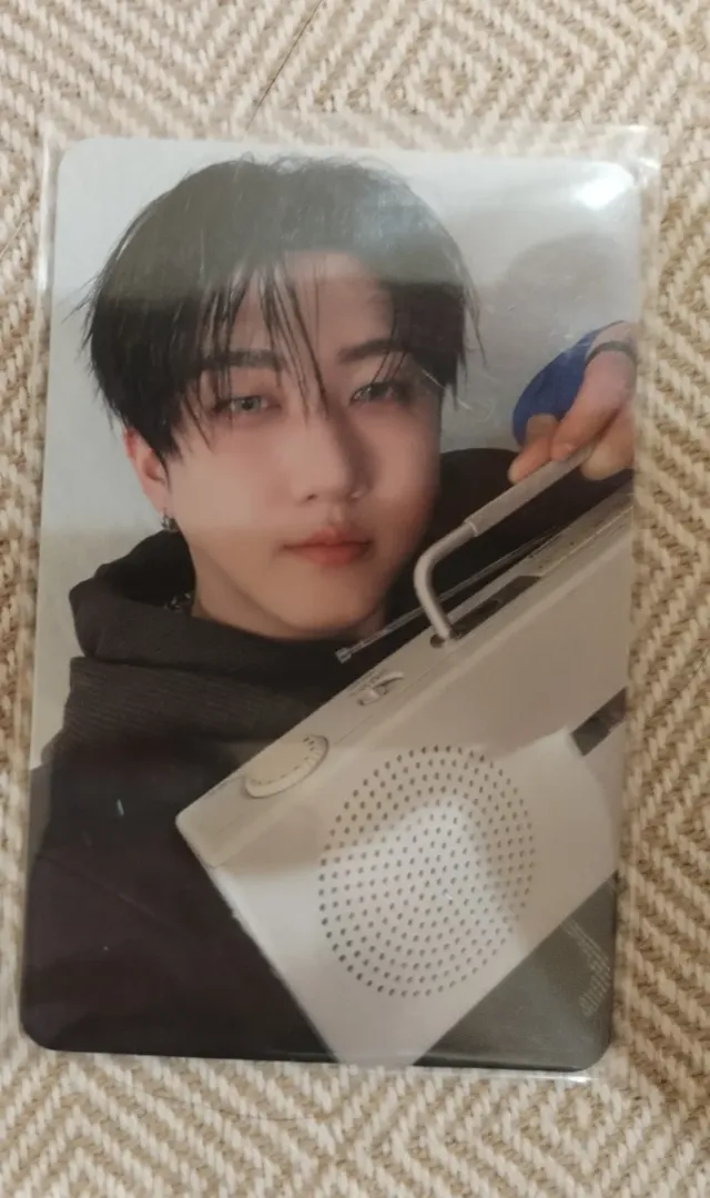 Changbin Skzoo Karma Stray Kids