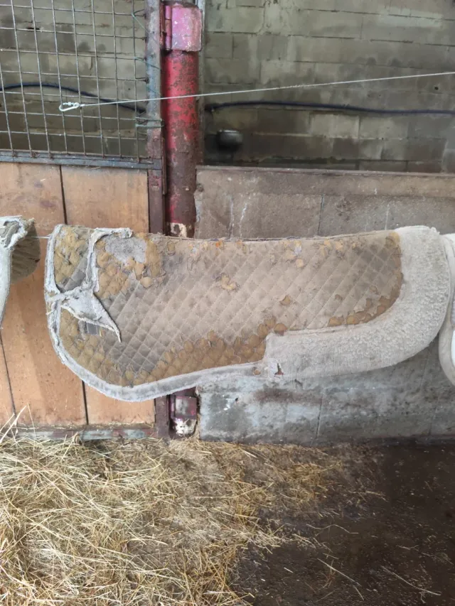 Salva cruces para caballo