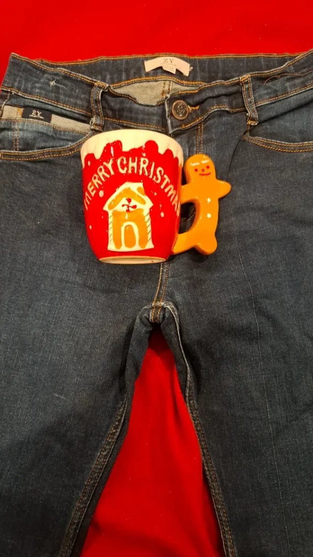 Calças ZY 13/14 + Caneca Natal