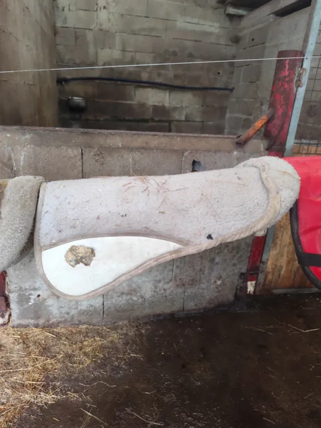 Salva cruces para caballo