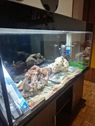 Acuario completo 260L con mueble
