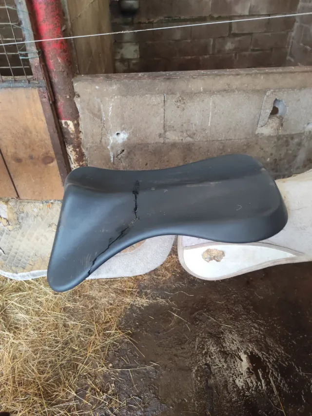 Salva cruces para caballo