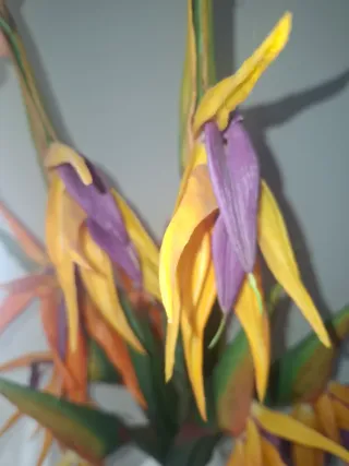 Jarrón blanco con flores Ave del Paraíso