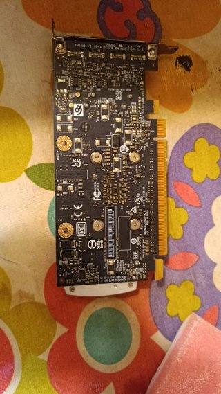 Tarjeta Gráfica NVIDIA Quadro P620.