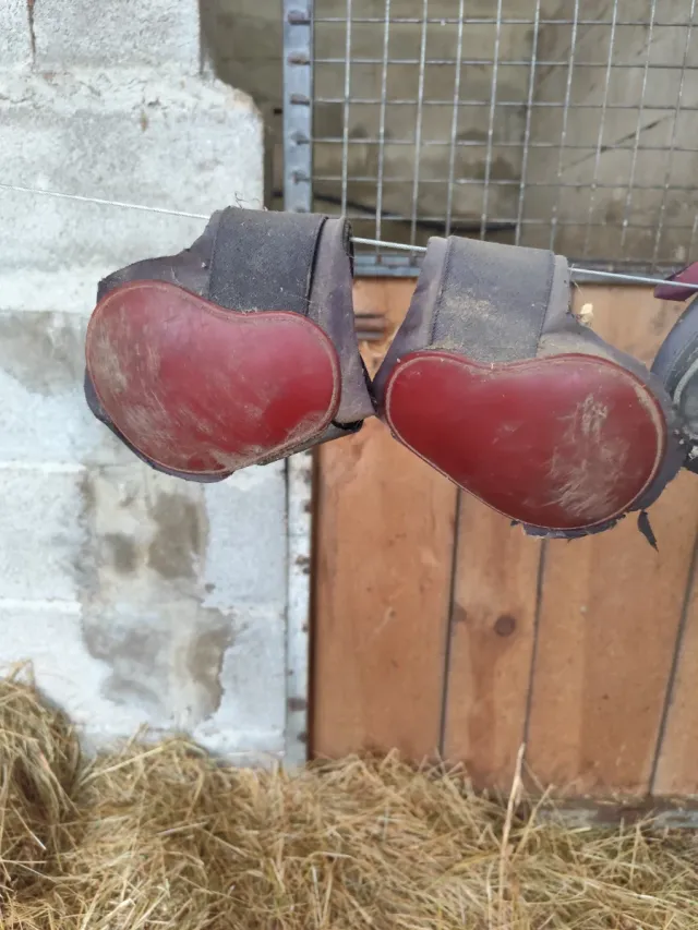 Protectores para patas de caballo