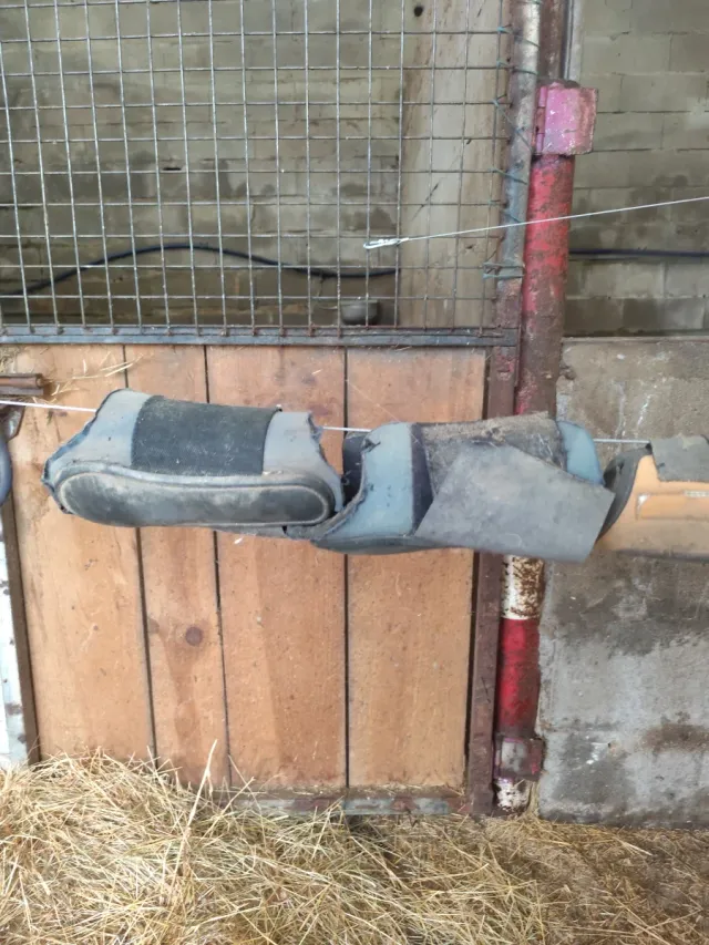 Protectores de patas para caballos