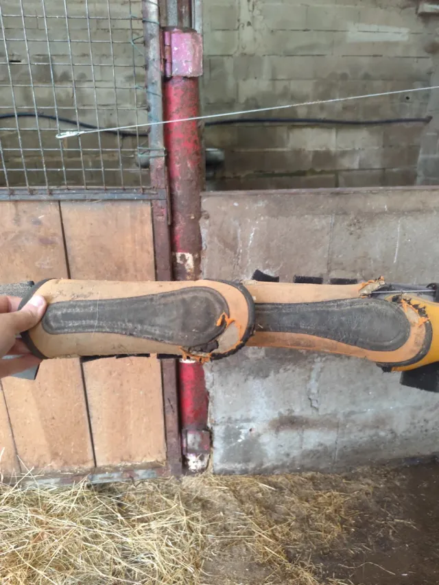 Protectores de patas para caballos