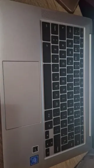 Portatile HP Chromebook Grigio Argento