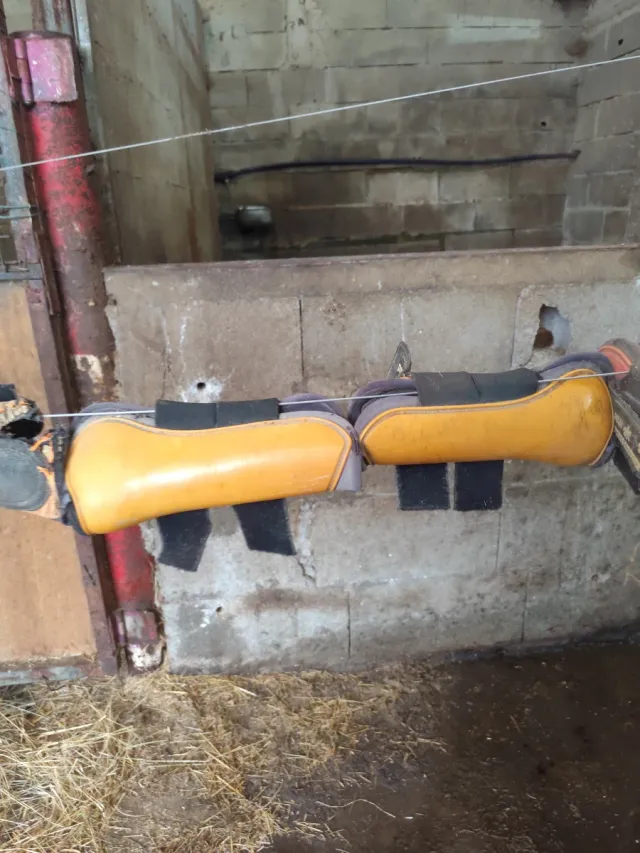 Protectores para patas de caballo