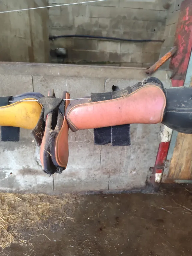 Protectores para patas de caballo