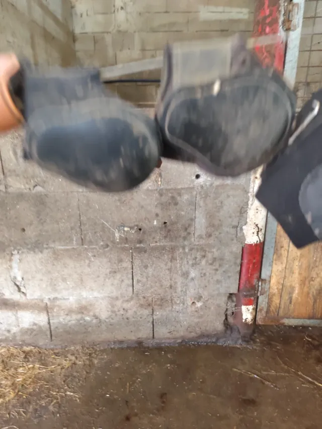 Protectores para patas de caballo