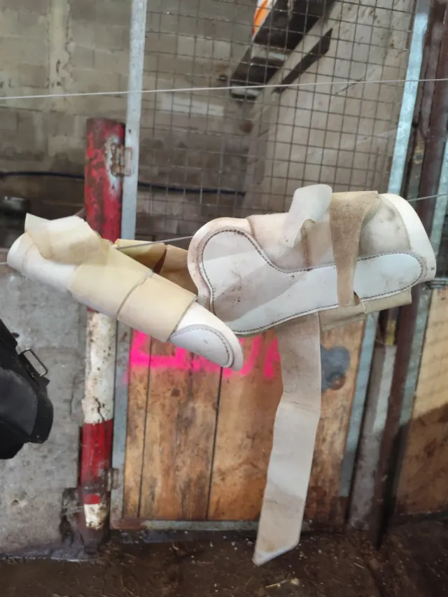 Protectores para patas de caballo