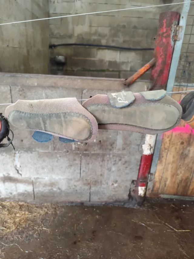 Protectores para patas de caballo