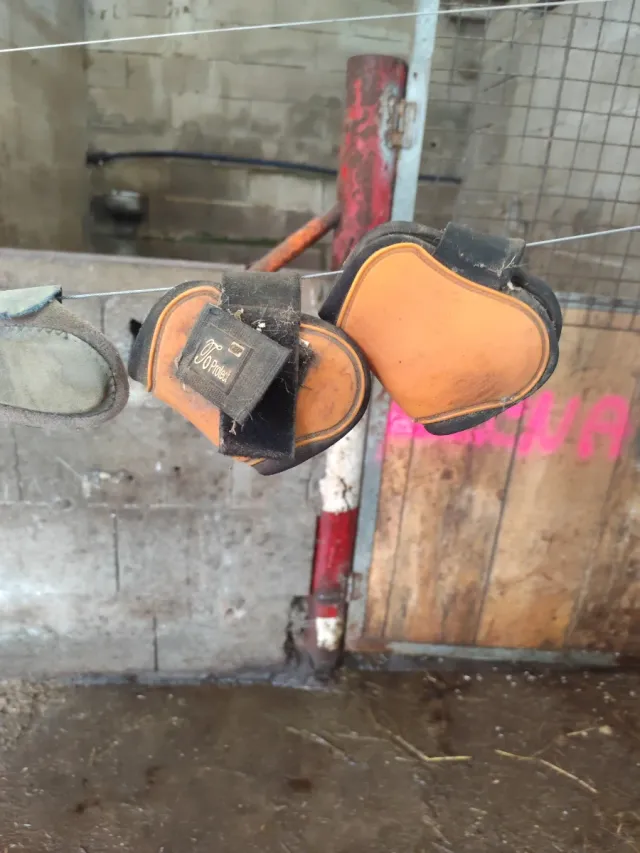 Protectores de patas para caballo