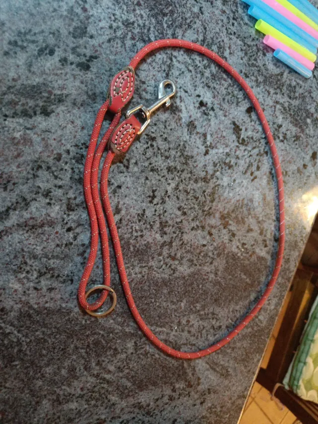 Correa para perro pequeño