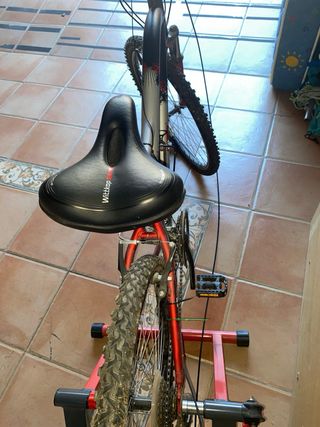 Bicicleta Adolescente/Adulto