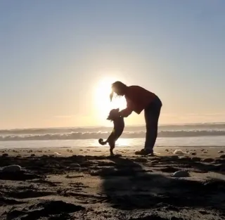 Cuidadora y paseadora animal (Gatos, Perros, etc.)