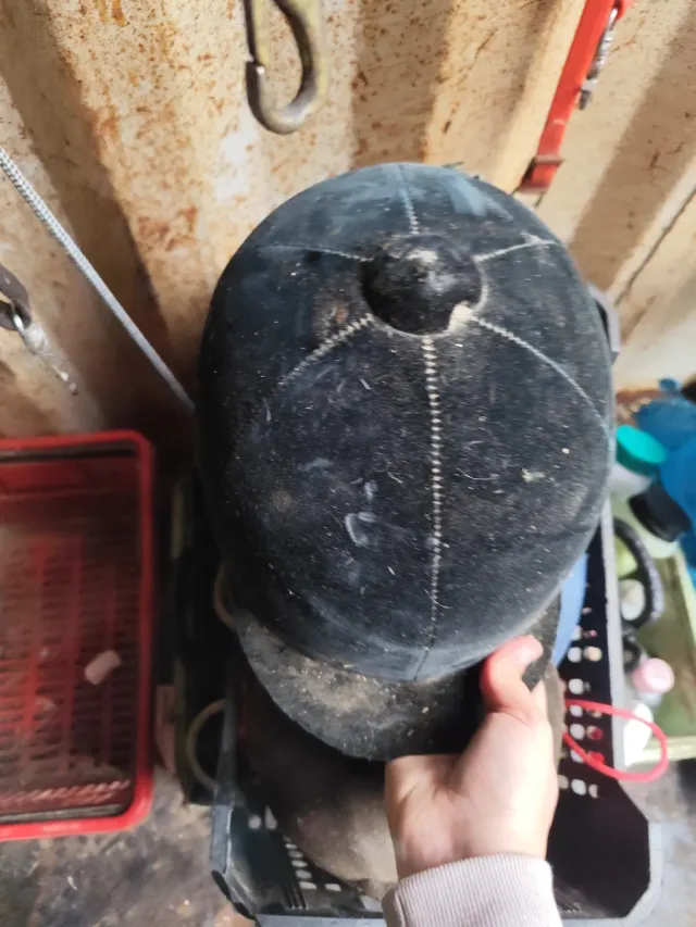 Casco de equitación negro