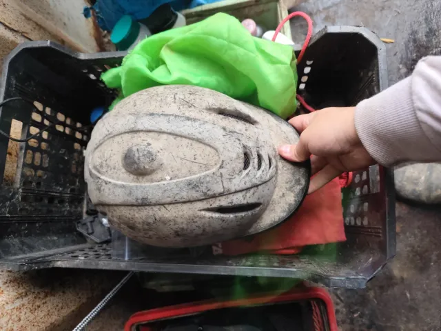 Casco de equitación negro