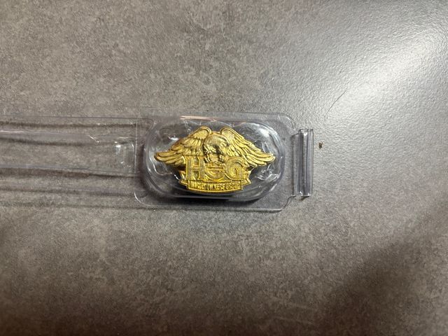 Pin Harley Davidson Dorato