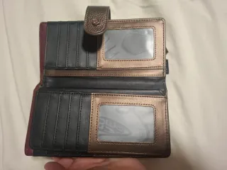 Cartera Anekke Multicolor y Plateada