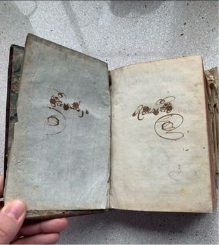 Libro Antiguo Institutionum Elementarium