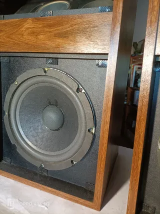 Altavoces Bose 301