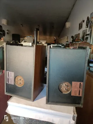 Altavoces Bose 301