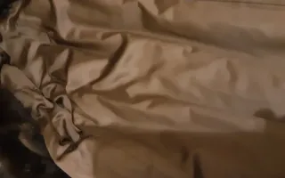 Pelliccia donna marrone