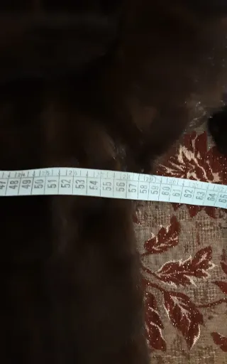 Pelliccia donna marrone