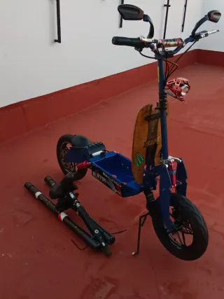 Patin/scooter Eléctrica con Asiento y Cañeros pesc