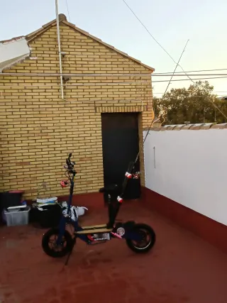 Patin/scooter Eléctrica con Asiento y Cañeros pesc