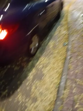 Renault Fluence 2010