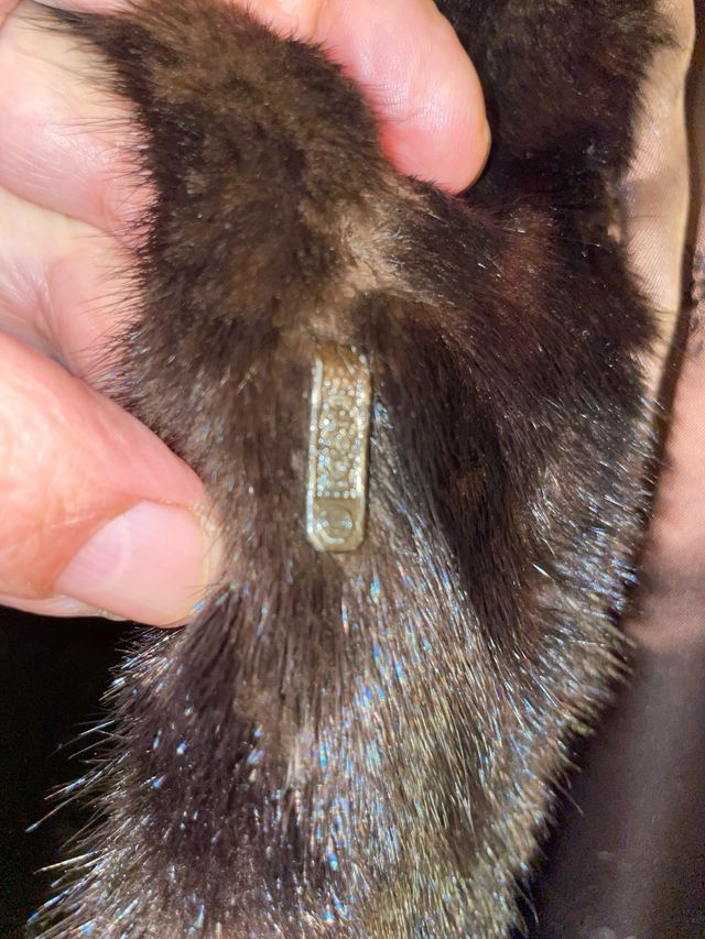 Abrigo piel de mouton negro