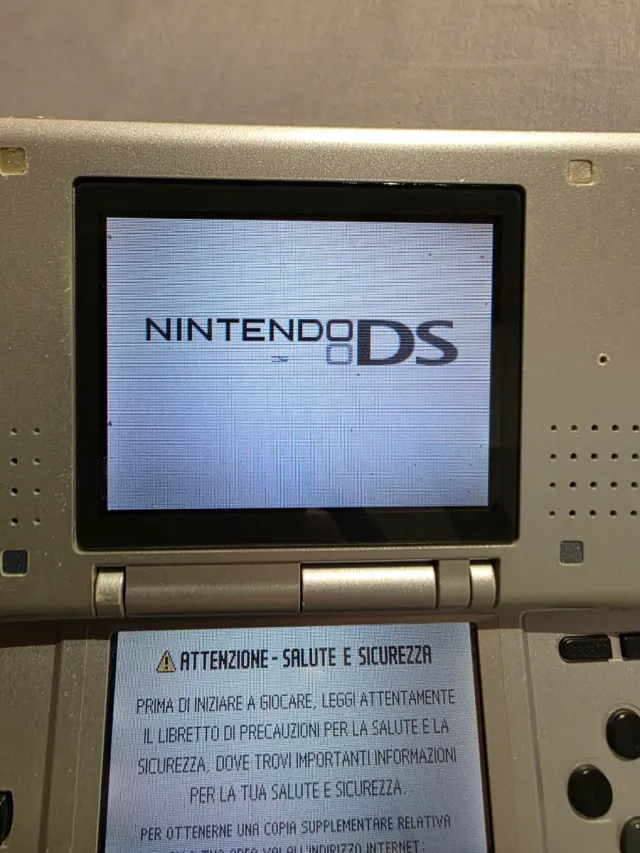 Nintendo DS + Custodia + Gioco