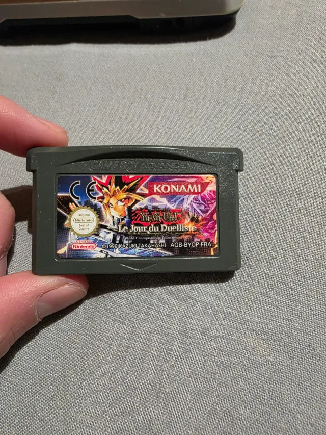 Nintendo DS + Custodia + Gioco