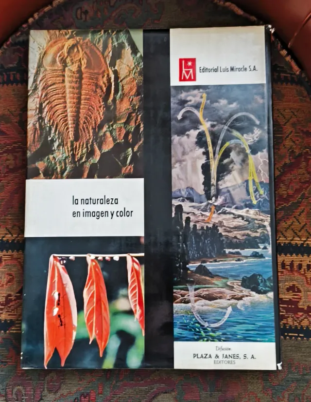 4 tomos XXL LIFE – Editorial Luis Miracle