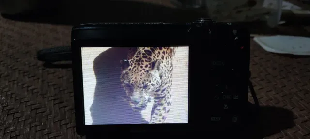 Cámara Nikon Coolpix Morada 20.1 MP