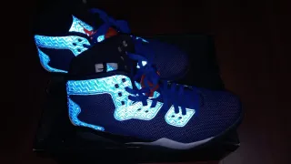 Air Jordan Spike Forty PE