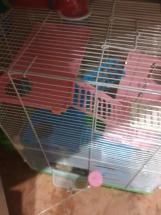 Jaula para hámster con accesorios divertidos