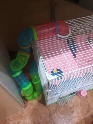 Jaula para hámster con accesorios divertidos