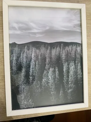 Quadri Decorativi Moderni (2 pezzi)