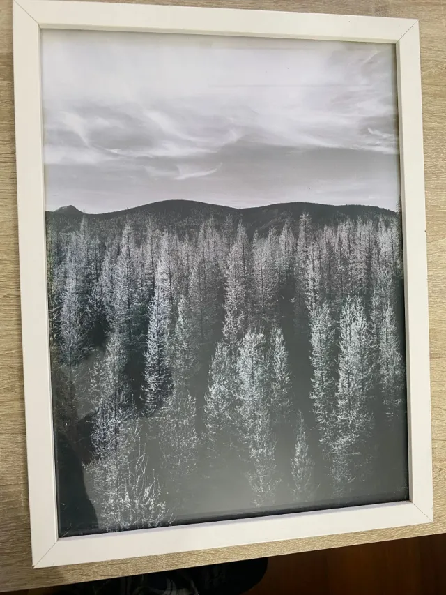 Cuadros Decorativos Modernos (2 piezas)