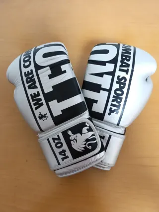 Guantes de Boxeo Leone 14 oz Plateados