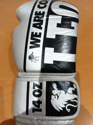 Guantes de Boxeo Leone 14 oz Plateados