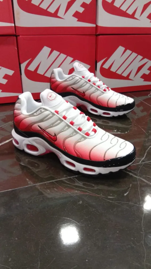 Zapatillas Nike Air Max Plus TN Grid
